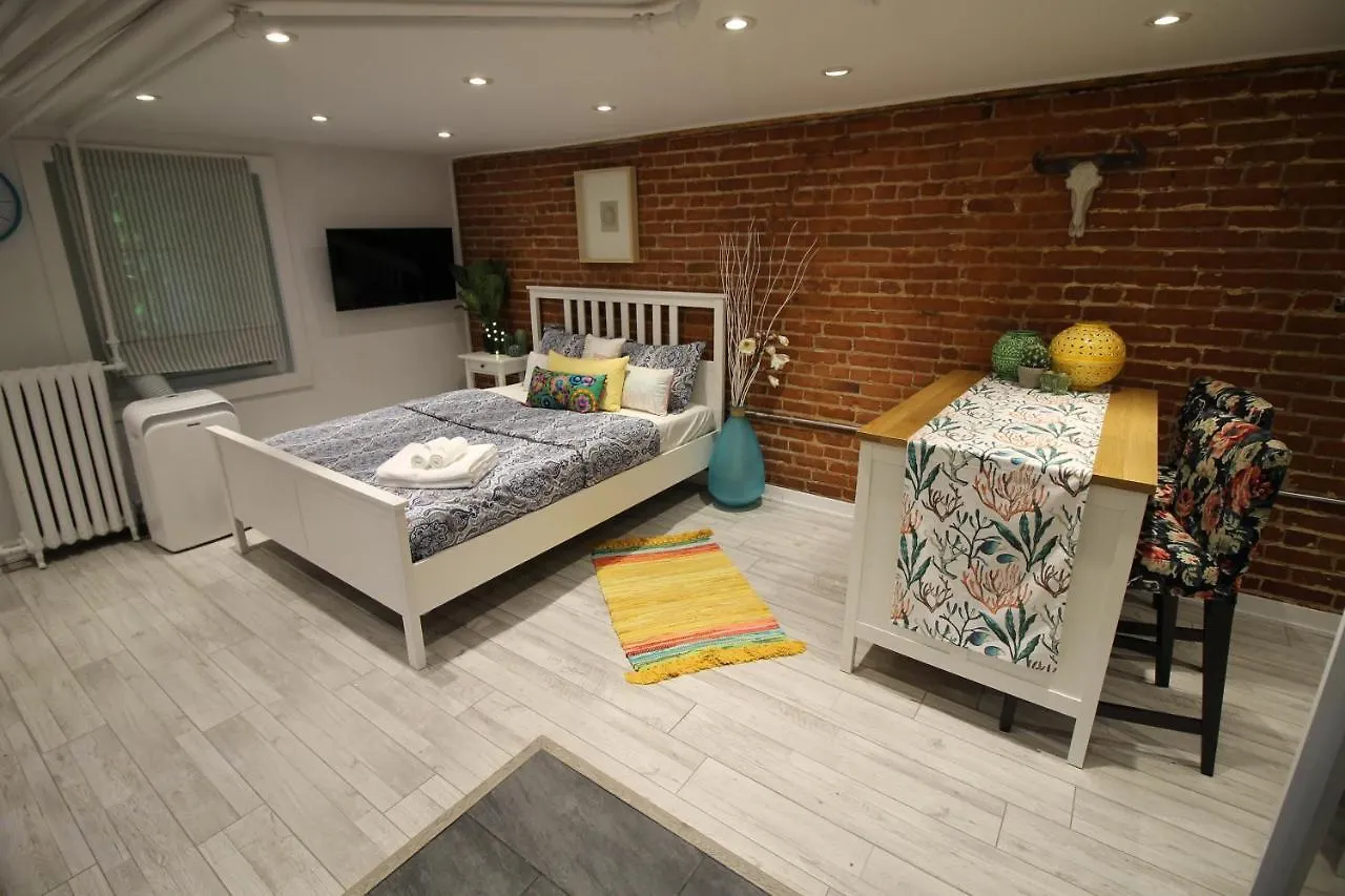 Cote-Des-Neiges - Downtown Apartment Montreal